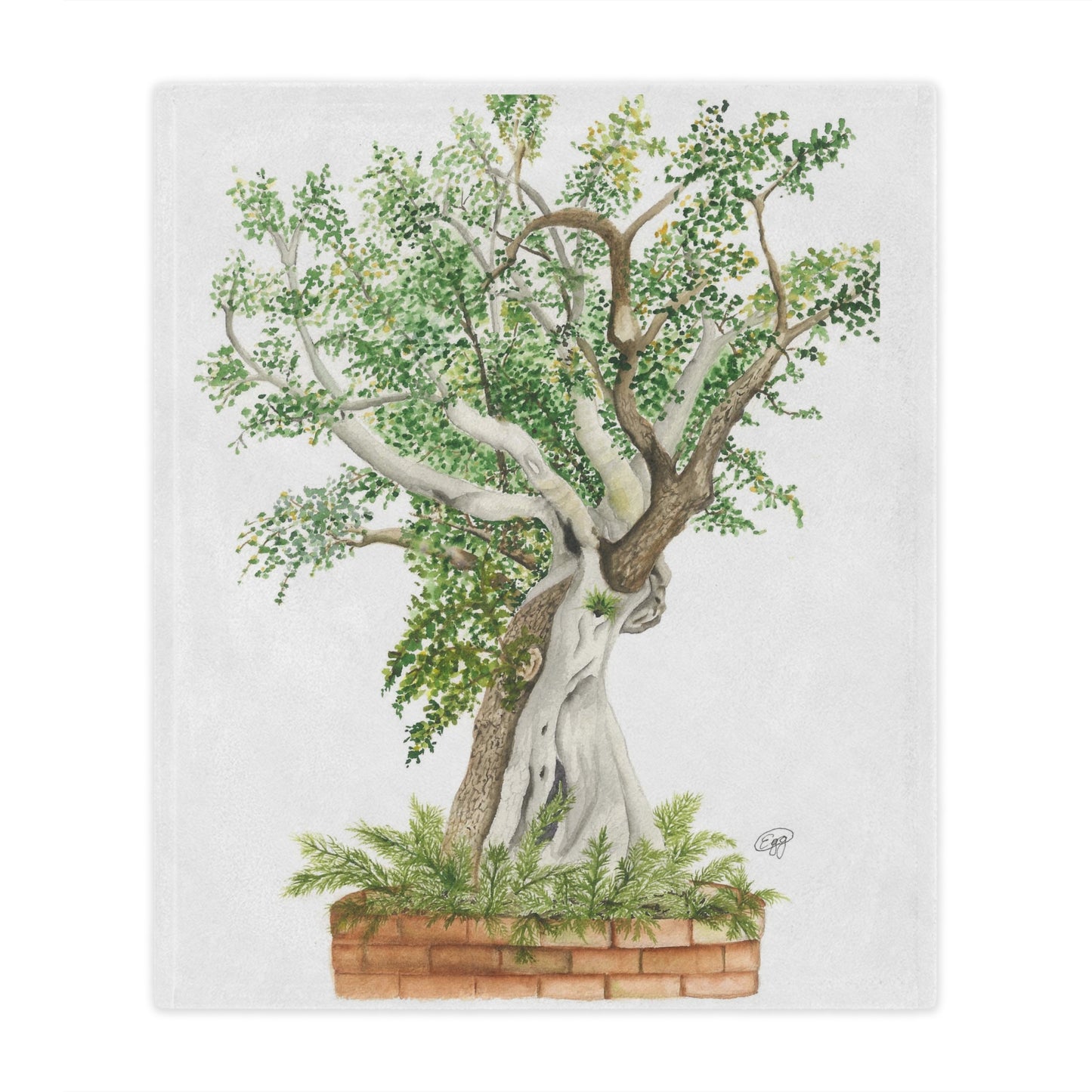 Microfiber Blanket 50"x60"