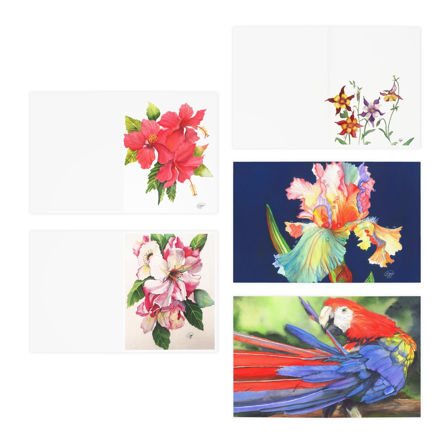 Multi-Design Greeting Cards (5-Pack)