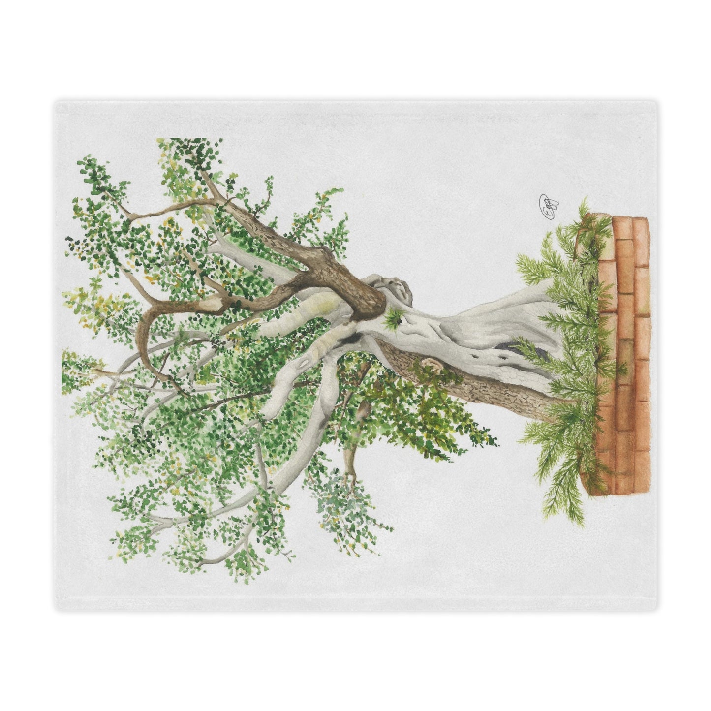 Microfiber Blanket 50"x60"