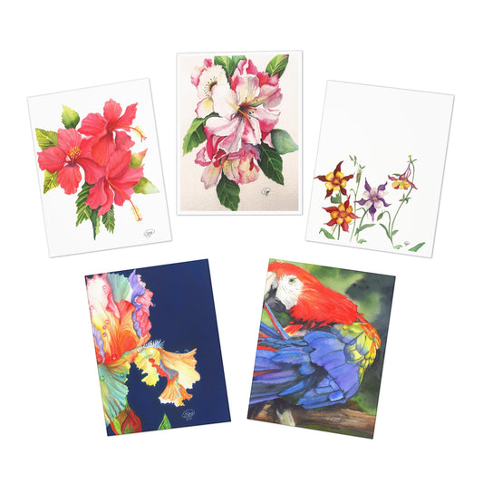 Multi-Design Greeting Cards (5-Pack)